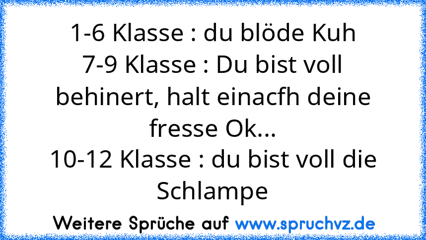 1-6 Klasse : du blöde Kuh
7-9 Klasse : Du bist voll behinert, halt einacfh deine fresse Ok...
10-12 Klasse : du bist voll die Schlampe