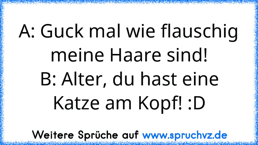 A: Guck mal wie flauschig meine Haare sind!
B: Alter, du hast eine Katze am Kopf! :D