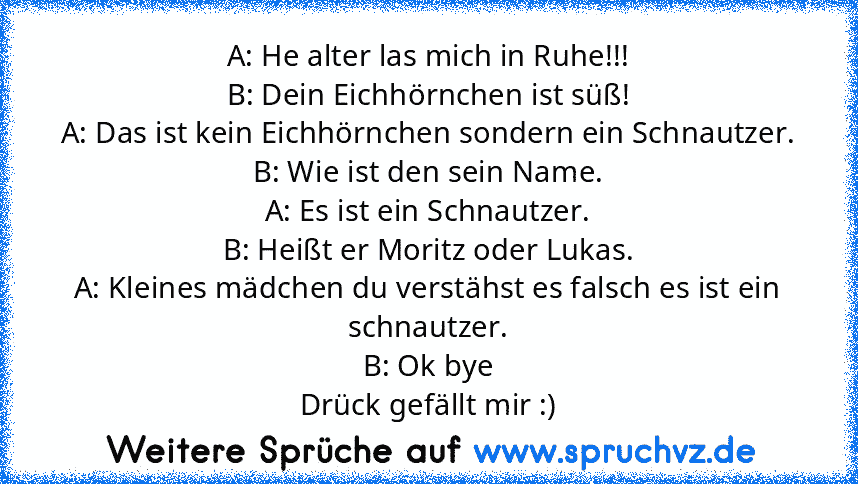 A: He alter las mich in Ruhe!!!
B: Dein Eichhörnchen ist süß!
A: Das ist kein Eichhörnchen sondern ein Schnautzer.
B: Wie ist den sein Name.
A: Es ist ein Schnautzer.
B: Heißt er Moritz oder Lukas.
A: Kleines mädchen du verstähst es falsch es ist ein schnautzer.
B: Ok bye
Drück gefällt mir :)