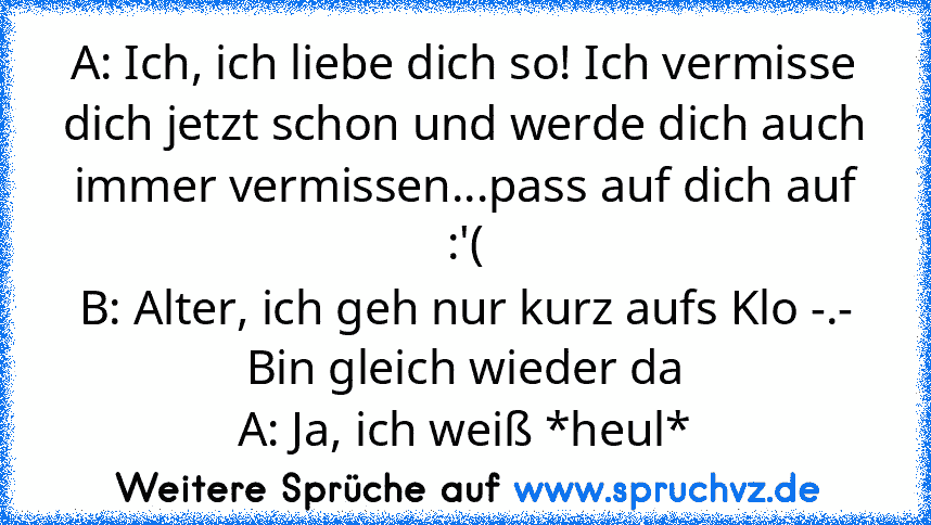 A: Ich, ich liebe dich so! Ich vermisse dich jetzt schon und werde dich auch immer vermissen...pass auf dich auf :'(
B: Alter, ich geh nur kurz aufs Klo -.- Bin gleich wieder da
A: Ja, ich weiß *heul*