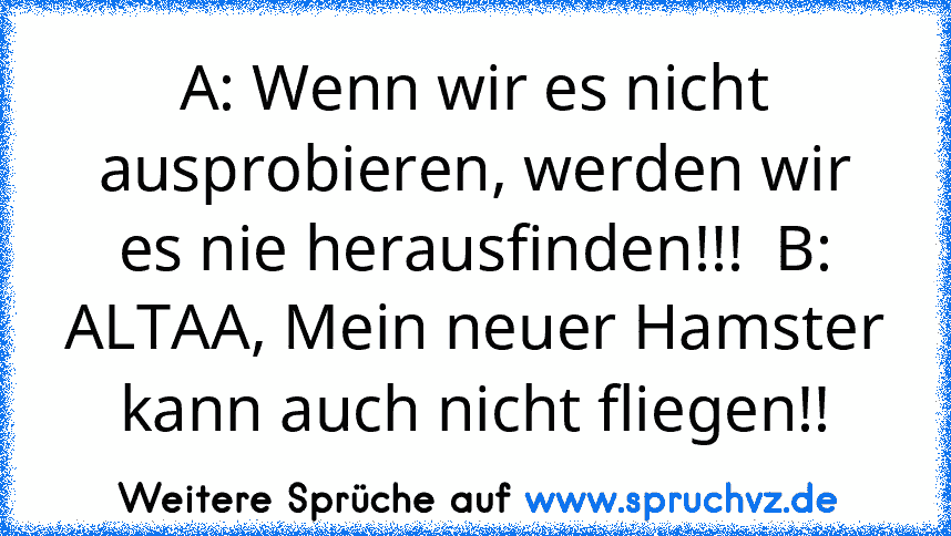 A: Wenn wir es nicht ausprobieren, werden wir es nie herausfinden!!!  B: ALTAA, Mein neuer Hamster kann auch nicht fliegen!!