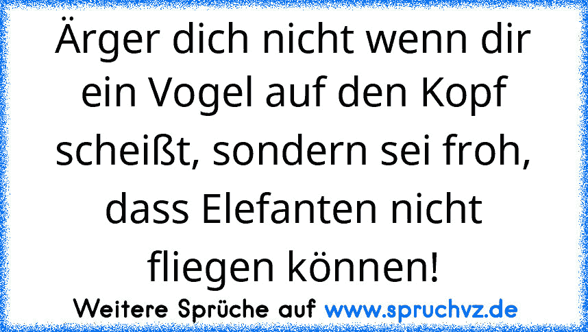 Ärger dich nicht wenn dir ein Vogel auf den Kopf scheißt, sondern sei froh, dass Elefanten nicht fliegen können!