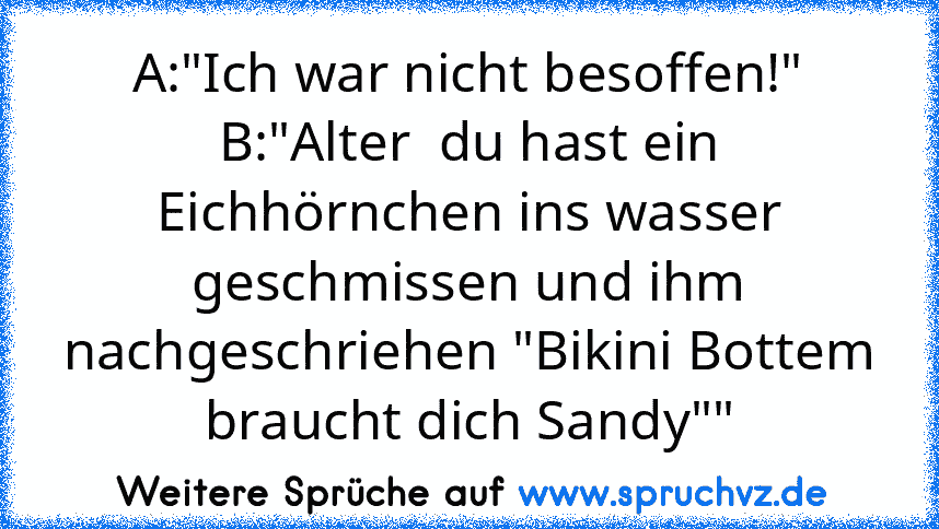 A:"Ich war nicht besoffen!"
B:"Alter  du hast ein Eichhörnchen ins wasser geschmissen und ihm nachgeschriehen "Bikini Bottem braucht dich Sandy""