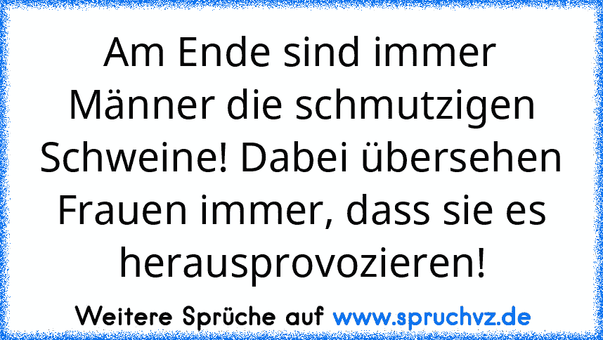 Am Ende sind immer Männer die schmutzigen Schweine! Dabei übersehen Frauen immer, dass sie es herausprovozieren!