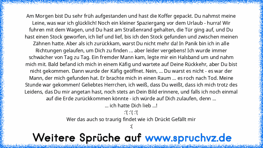 Am Morgen bist Du sehr früh aufgestanden und hast die Koffer gepackt. Du nahmst meine Leine, was war ich glücklich! Noch ein kleiner Spaziergang vor dem Urlaub - hurra! Wir fuhren mit dem Wagen, und Du hast am Straßenrand gehalten, die Tür ging auf, und Du hast einen Stock geworfen, ich lief und lief, bis ich den Stock gefunden und zwischen meinen Zähnen hatte. Aber als ich zurückkam, warst Du nic...