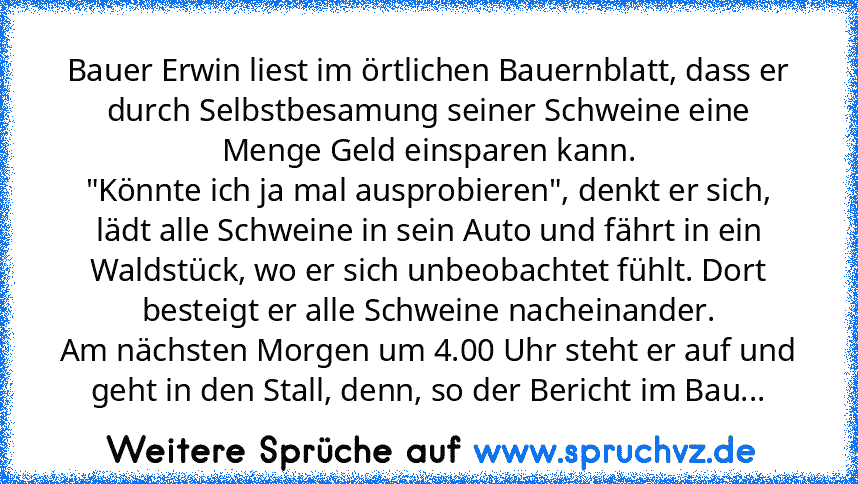 Bauer Erwin liest im örtlichen Bauernblatt, dass er durch Selbstbesamung seiner Schweine eine Menge Geld einsparen kann.
"Könnte ich ja mal ausprobieren", denkt er sich, lädt alle Schweine in sein Auto und fährt in ein Waldstück, wo er sich unbeobachtet fühlt. Dort besteigt er alle Schweine nacheinander.
Am nächsten Morgen um 4.00 Uhr steht er auf und geht in den Stall, denn, so der Bericht im ...