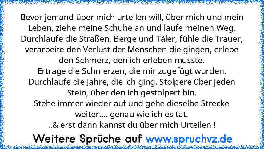 Bevor jemand über mich urteilen will, über mich und mein Leben, ziehe meine Schuhe an und laufe meinen Weg. Durchlaufe die Straßen, Berge und Täler, fühle die Trauer, verarbeite den Verlust der Menschen die gingen, erlebe den Schmerz, den ich erleben musste.
Ertrage die Schmerzen, die mir zugefügt wurden. Durchlaufe die Jahre, die ich ging. Stolpere über jeden Stein, über den ich gestolpert bin...