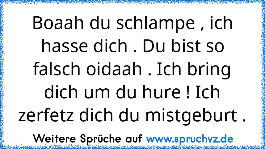 Boaah du schlampe , ich hasse dich . Du bist so falsch oidaah . Ich bring dich um du hure ! Ich zerfetz dich du mistgeburt .