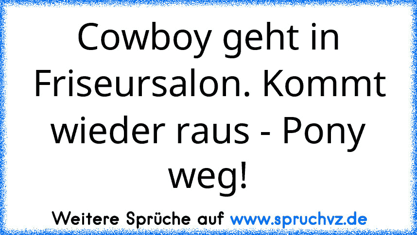 Cowboy geht in Friseursalon. Kommt wieder raus - Pony weg!