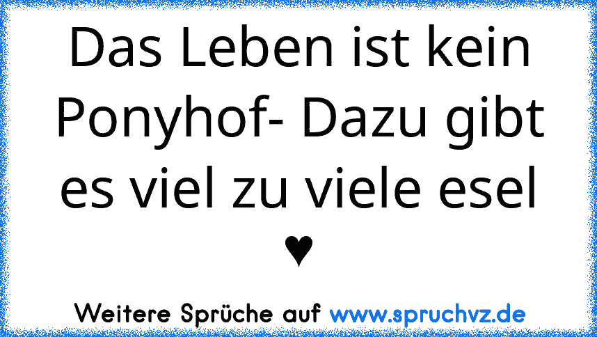 Das Leben ist kein Ponyhof- Dazu gibt es viel zu viele esel ♥