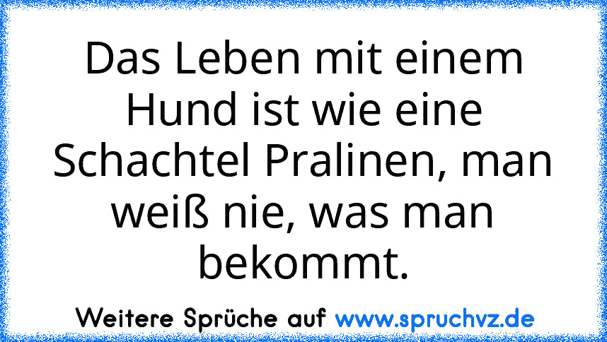 Das Leben mit einem Hund ist wie eine Schachtel Pralinen, man weiß nie, was man bekommt.