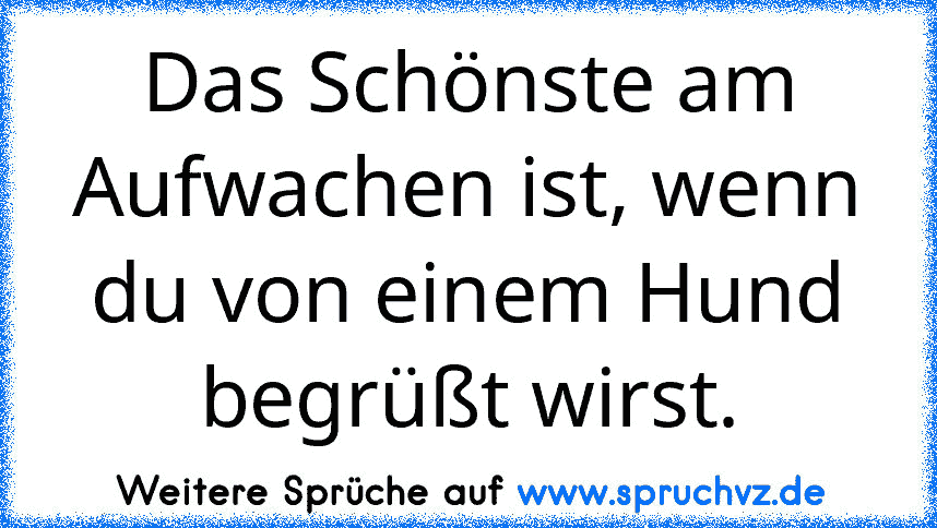 Das Schönste am Aufwachen ist, wenn du von einem Hund begrüßt wirst.