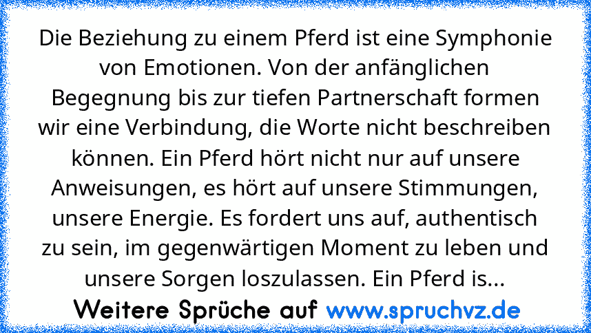 Die Beziehung zu einem Pferd ist eine Symphonie von Emotionen. Von der anfänglichen Begegnung bis zur tiefen Partnerschaft formen wir eine Verbindung, die Worte nicht beschreiben können. Ein Pferd hört nicht nur auf unsere Anweisungen, es hört auf unsere Stimmungen, unsere Energie. Es fordert uns auf, authentisch zu sein, im gegenwärtigen Moment zu leben und unsere Sorgen loszulassen. Ein Pferd...