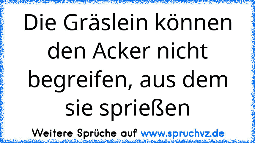 Die Gräslein können den Acker nicht begreifen, aus dem sie sprießen