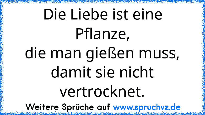 Die Liebe ist eine Pflanze,
die man gießen muss,
damit sie nicht vertrocknet.