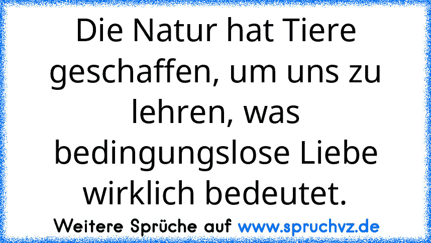 Die Natur hat Tiere geschaffen, um uns zu lehren, was bedingungslose Liebe wirklich bedeutet.