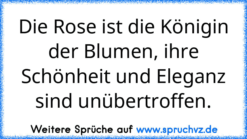 Die Rose ist die Königin der Blumen, ihre Schönheit und Eleganz sind unübertroffen.