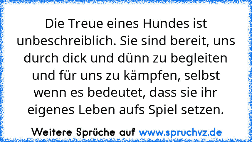 Die Treue eines Hundes ist unbeschreiblich. Sie sind bereit, uns durch dick und dünn zu begleiten und für uns zu kämpfen, selbst wenn es bedeutet, dass sie ihr eigenes Leben aufs Spiel setzen.