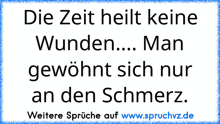 Die Zeit heilt keine Wunden.... Man gewöhnt sich nur an den Schmerz.