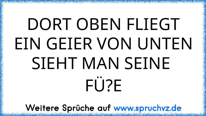 DORT OBEN FLIEGT EIN GEIER VON UNTEN SIEHT MAN SEINE 
FÜ?E