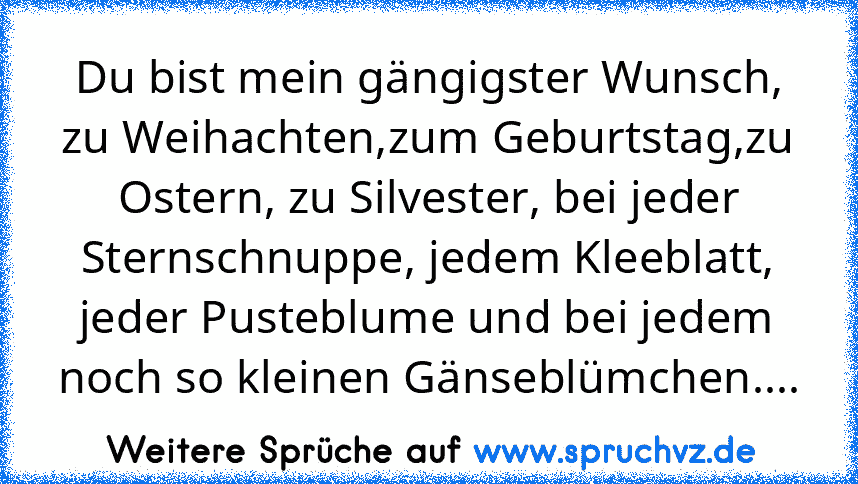 Du bist mein gängigster Wunsch, zu Weihachten,zum Geburtstag,zu Ostern, zu Silvester, bei jeder Sternschnuppe, jedem Kleeblatt, jeder Pusteblume und bei jedem noch so kleinen Gänseblümchen....