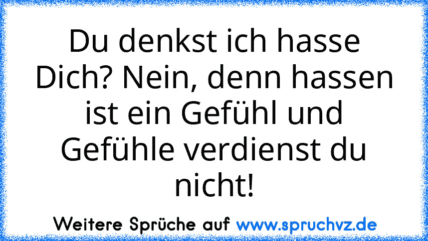 Du denkst ich hasse Dich? Nein, denn hassen ist ein Gefühl und Gefühle verdienst du nicht!