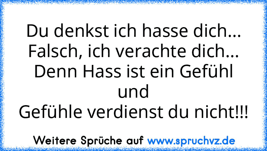 Du denkst ich hasse dich...
Falsch, ich verachte dich...
Denn Hass ist ein Gefühl und
Gefühle verdienst du nicht!!!