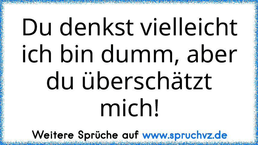 Du denkst vielleicht ich bin dumm, aber du überschätzt mich!