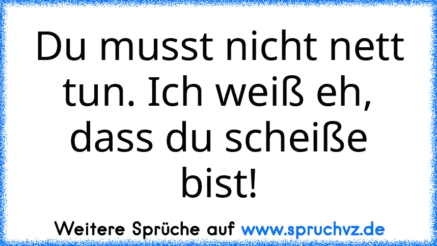 Du musst nicht nett tun. Ich weiß eh, dass du scheiße bist!