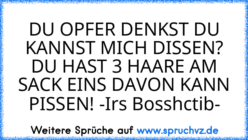 DU OPFER DENKST DU KANNST MICH DISSEN? DU HAST 3 HAARE AM SACK EINS DAVON KANN PISSEN! -Irs Bosshctib-