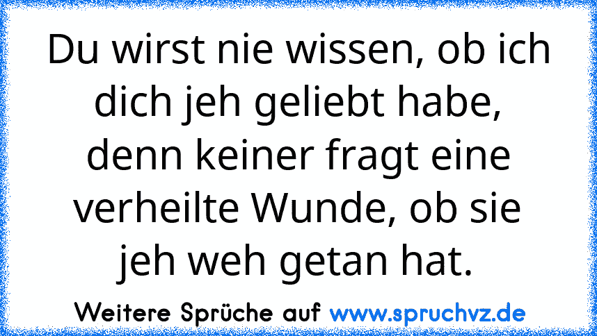 Du wirst nie wissen, ob ich dich jeh geliebt habe, denn keiner fragt eine verheilte Wunde, ob sie jeh weh getan hat.