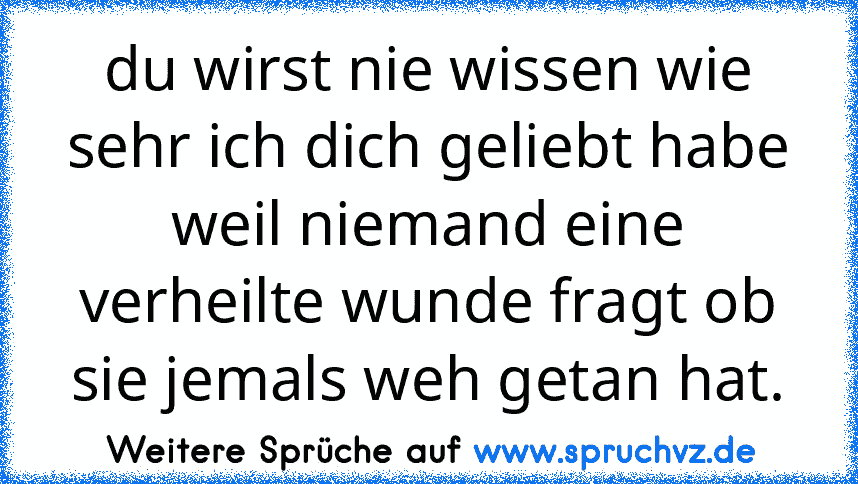 du wirst nie wissen wie sehr ich dich geliebt habe weil niemand eine verheilte wunde fragt ob sie jemals weh getan hat.