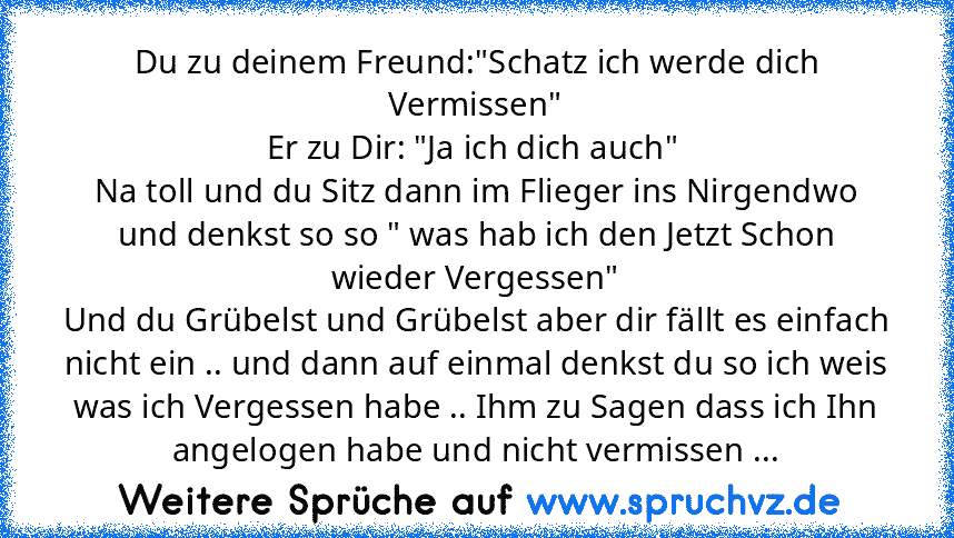 Du zu deinem Freund:"Schatz ich werde dich Vermissen"
Er zu Dir: "Ja ich dich auch" 
Na toll und du Sitz dann im Flieger ins Nirgendwo und denkst so so " was hab ich den Jetzt Schon wieder Vergessen"
Und du Grübelst und Grübelst aber dir fällt es einfach nicht ein .. und dann auf einmal denkst du so ich weis was ich Vergessen habe .. Ihm zu Sagen dass ich Ihn angelogen habe und nicht vermissen ...