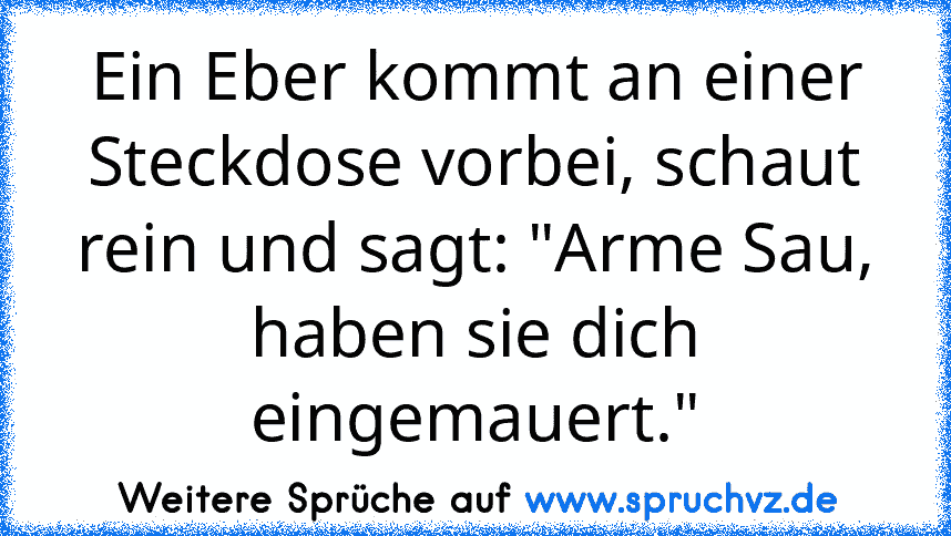 Ein Eber kommt an einer Steckdose vorbei, schaut rein und sagt: "Arme Sau, haben sie dich eingemauert."