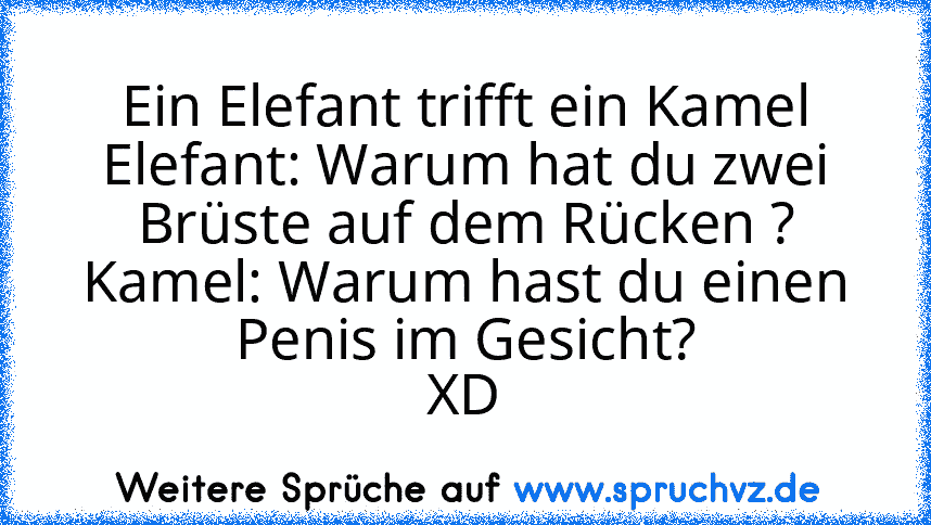 Ein Elefant trifft ein Kamel
Elefant: Warum hat du zwei Brüste auf dem Rücken ?
Kamel: Warum hast du einen Penis im Gesicht?
XD