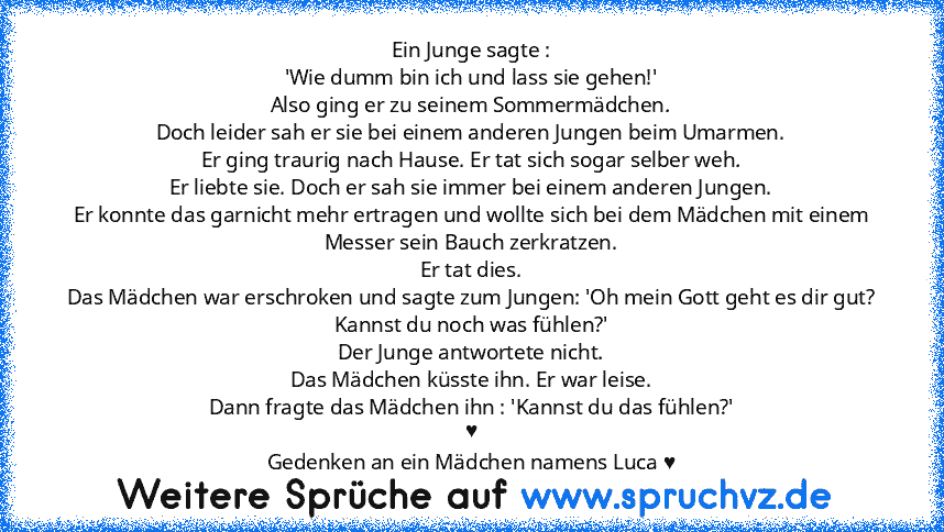 Ein Junge sagte :
'Wie dumm bin ich und lass sie gehen!'
Also ging er zu seinem Sommermädchen.
Doch leider sah er sie bei einem anderen Jungen beim Umarmen.
Er ging traurig nach Hause. Er tat sich sogar selber weh.
Er liebte sie. Doch er sah sie immer bei einem anderen Jungen.
Er konnte das garnicht mehr ertragen und wollte sich bei dem Mädchen mit einem Messer sein Bauch zerkratzen.
Er tat die...