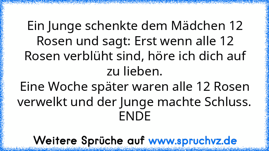 Ein Junge schenkte dem Mädchen 12 Rosen und sagt: Erst wenn alle 12 Rosen verblüht sind, höre ich dich auf zu lieben.
Eine Woche später waren alle 12 Rosen verwelkt und der Junge machte Schluss.
ENDE