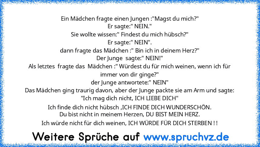 Ein Mädchen fragte einen Jungen :"Magst du mich?"
Er sagte:" NEIN."
Sie wollte wissen:" Findest du mich hübsch?"
Er sagte:" NEIN".
dann fragte das Mädchen :" Bin ich in deinem Herz?"
Der Junge  sagte:" NEIN!"
Als letztes  fragte das  Mädchen :" Würdest du für mich weinen, wenn ich für immer von dir ginge?"
der Junge antwortete:" NEIN"
Das Mädchen ging traurig davon, aber der Junge packte sie am...