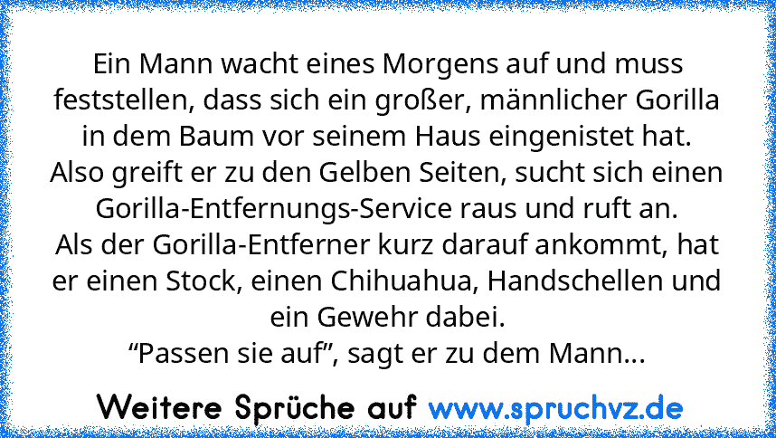 Ein Mann wacht eines Morgens auf und muss feststellen, dass sich ein großer, männlicher Gorilla in dem Baum vor seinem Haus eingenistet hat.
Also greift er zu den Gelben Seiten, sucht sich einen
Gorilla-Entfernungs-Service raus und ruft an.
Als der Gorilla-Entferner kurz darauf ankommt, hat er einen Stock, einen Chihuahua, Handschellen und ein Gewehr dabei.
“Passen sie auf”, sagt er zu dem Mann...