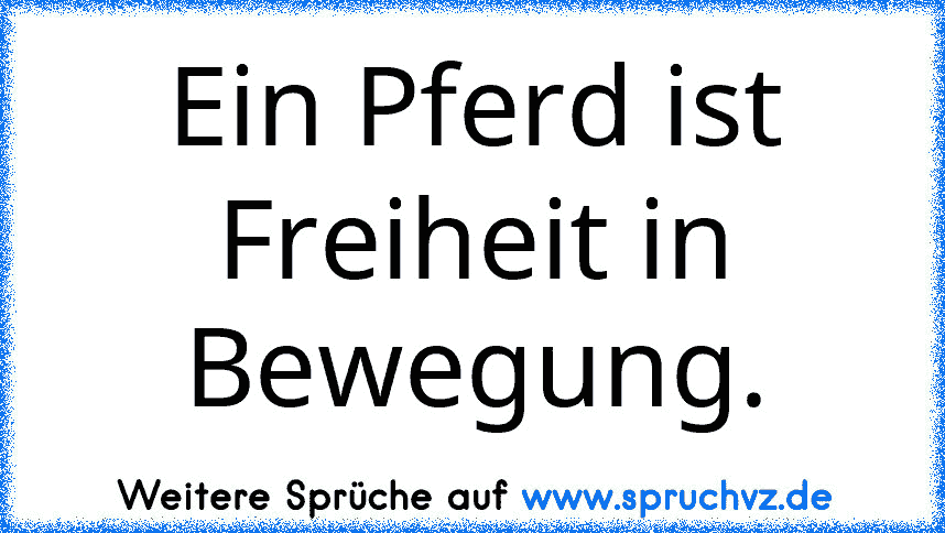 Ein Pferd ist Freiheit in Bewegung.