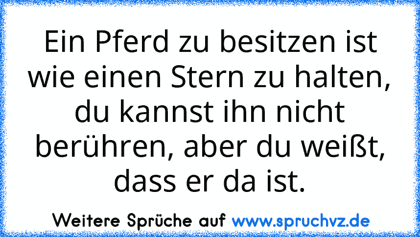 Ein Pferd zu besitzen ist wie einen Stern zu halten, du kannst ihn nicht berühren, aber du weißt, dass er da ist.