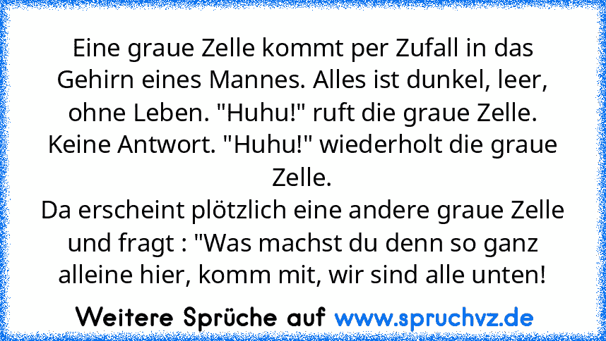 Eine graue Zelle kommt per Zufall in das Gehirn eines Mannes. Alles ist dunkel, leer, ohne Leben. "Huhu!" ruft die graue Zelle. Keine Antwort. "Huhu!" wiederholt die graue Zelle.
Da erscheint plötzlich eine andere graue Zelle und fragt : "Was machst du denn so ganz alleine hier, komm mit, wir sind alle unten!