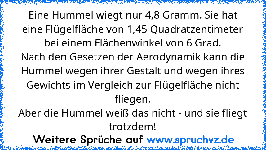 Eine Hummel wiegt nur 4,8 Gramm. Sie hat eine Flügelfläche von 1,45 Quadratzentimeter bei einem Flächenwinkel von 6 Grad.
Nach den Gesetzen der Aerodynamik kann die Hummel wegen ihrer Gestalt und wegen ihres Gewichts im Vergleich zur Flügelfläche nicht fliegen.
Aber die Hummel weiß das nicht - und sie fliegt trotzdem!