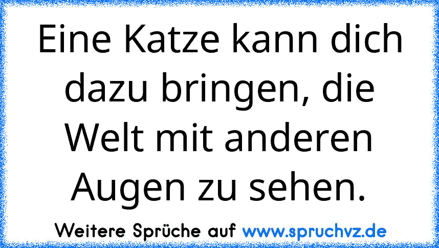 Eine Katze kann dich dazu bringen, die Welt mit anderen Augen zu sehen.