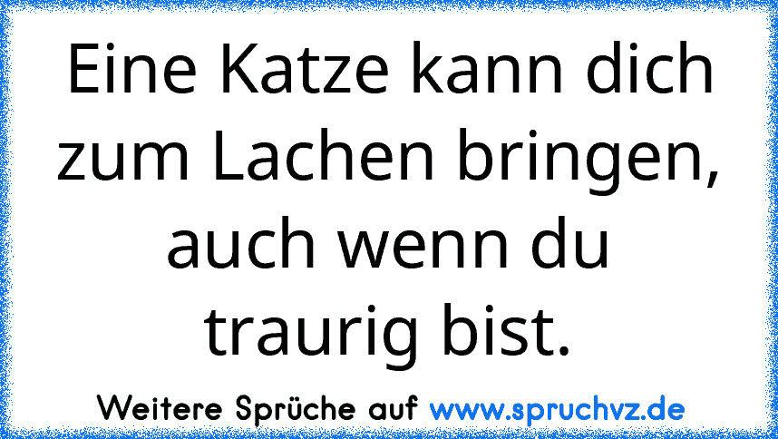 Eine Katze kann dich zum Lachen bringen, auch wenn du traurig bist.