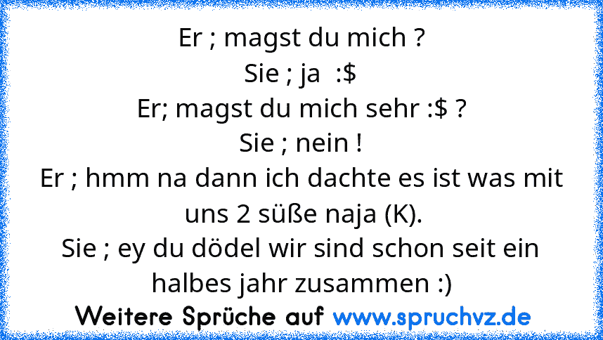 Er ; magst du mich ?
Sie ; ja  :$
Er; magst du mich sehr :$ ?
Sie ; nein !
Er ; hmm na dann ich dachte es ist was mit  uns 2 süße naja (K).
Sie ; ey du dödel wir sind schon seit ein halbes jahr zusammen :)