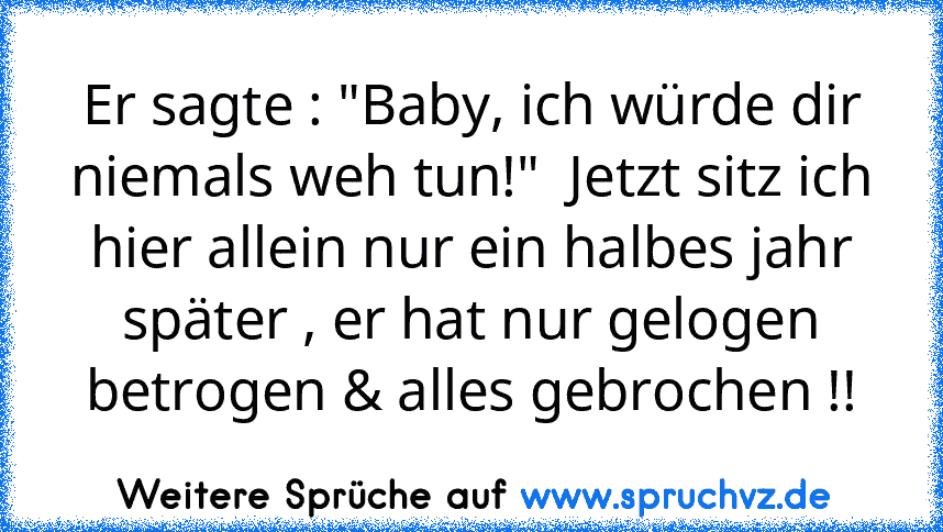 Er sagte : "Baby, ich würde dir niemals weh tun!"  Jetzt sitz ich hier allein nur ein halbes jahr später , er hat nur gelogen betrogen & alles gebrochen !!