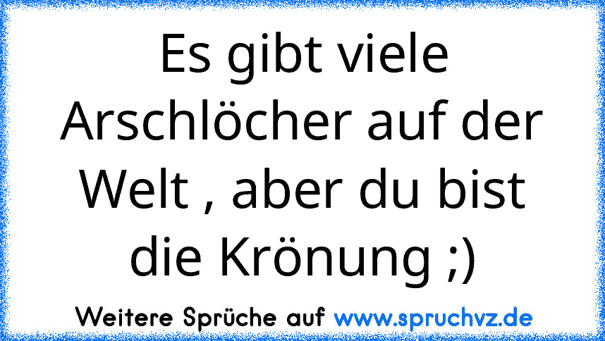 Es gibt viele Arschlöcher auf der Welt , aber du bist die Krönung ;)