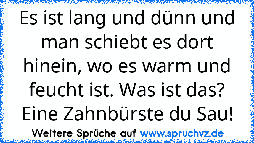 Es ist lang und dünn und man schiebt es dort hinein, wo es warm und feucht ist. Was ist das? Eine Zahnbürste du Sau!