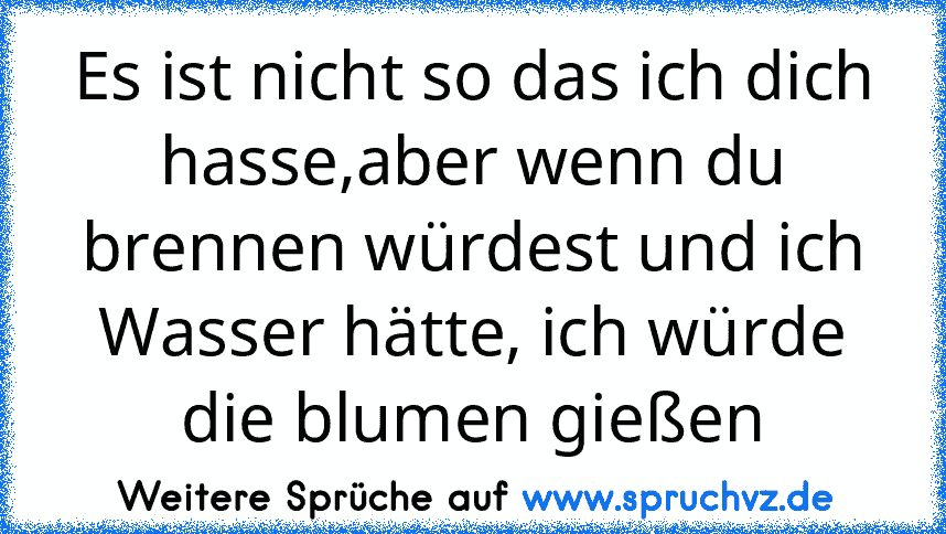 Es ist nicht so das ich dich hasse,aber wenn du brennen würdest und ich Wasser hätte, ich würde die blumen gießen